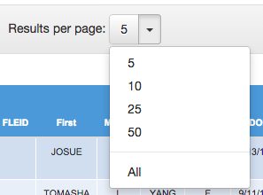 Results per page filter